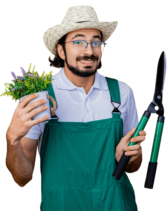 Beautiful garden with flowers and plants